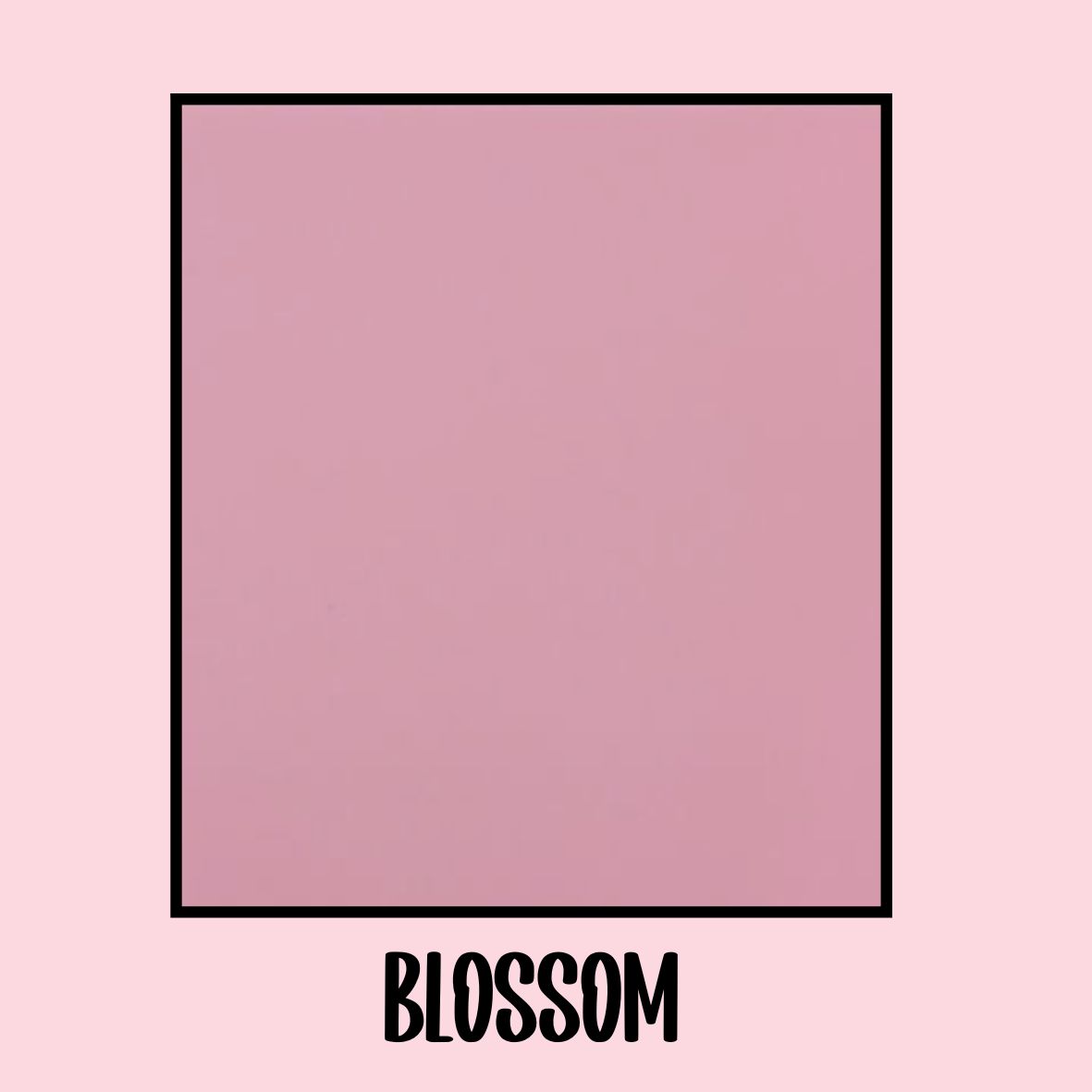 Blossom