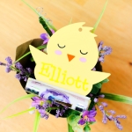 100mm+Money+Holder+-+Chick